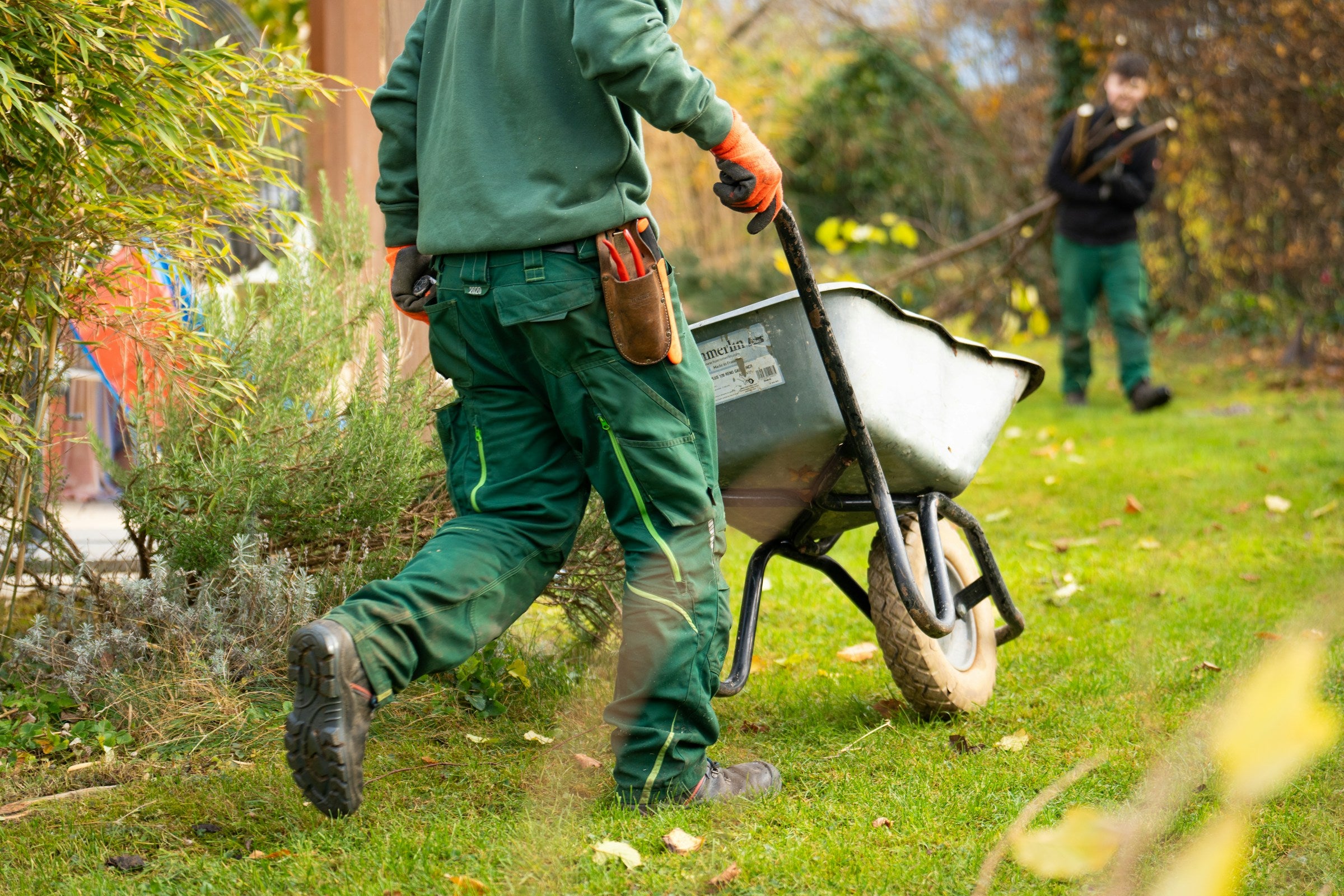 🍂 GARDEN CLEANUP — One-off Visit