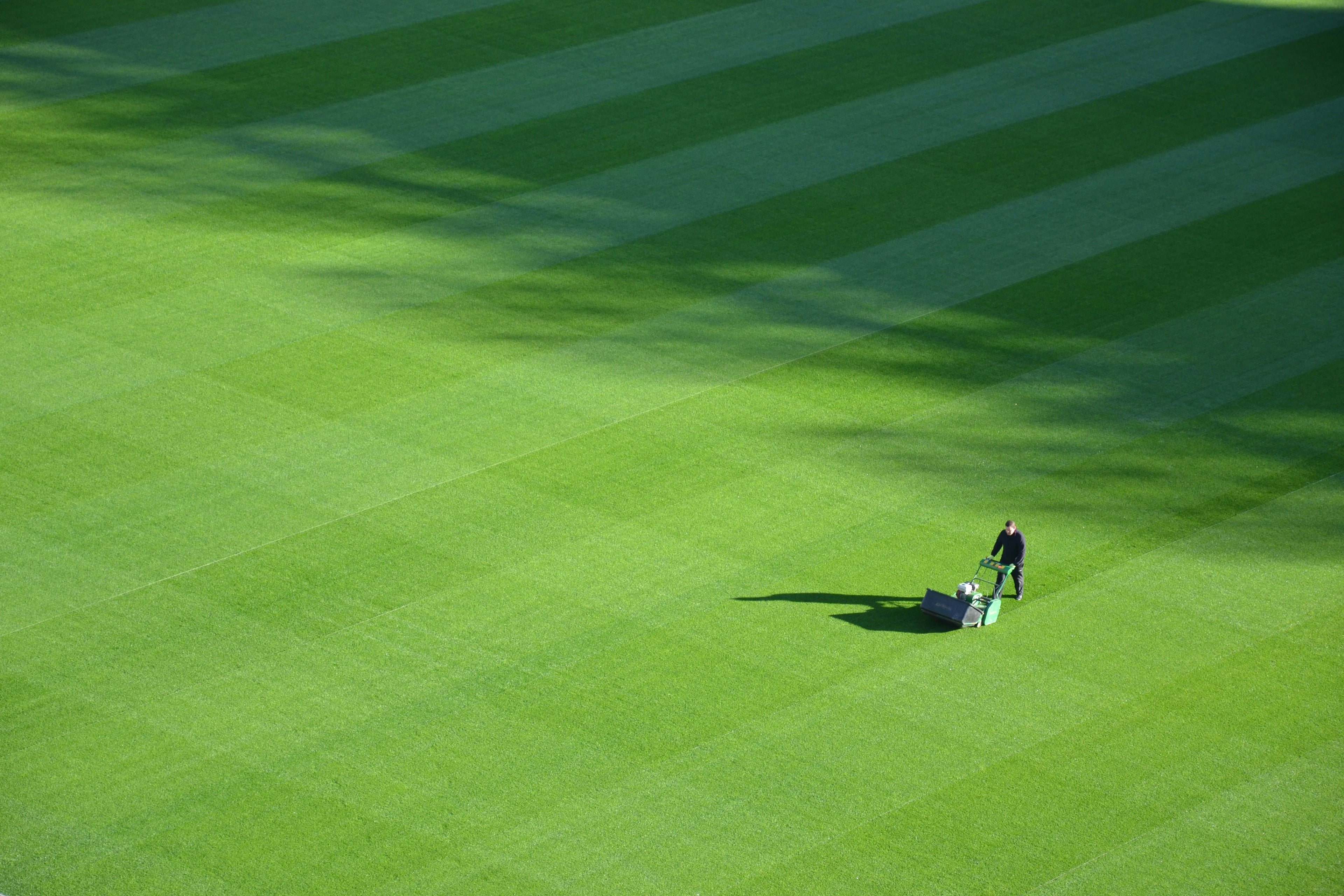 Essential Plan — Fortnightly Garden Care